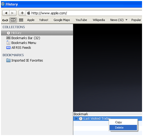 Delete Safari History
