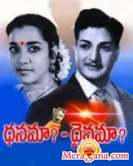 Poster of Dhanama+Daivama+(1973)++-+(Telugu)