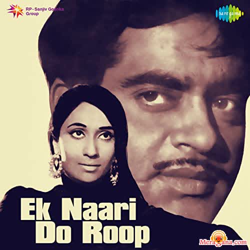 Poster of Ek Nari Do Roop (1973)